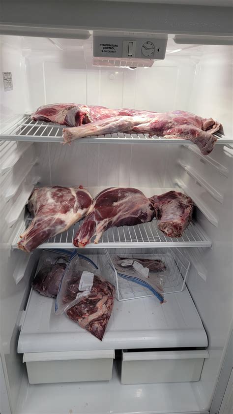 Deer Meat Cooling Temperature: Essential Tips for Safe Storage - The ...