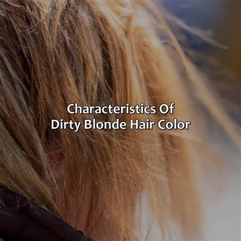 What Is Dirty Blonde Hair Color - colorscombo.com