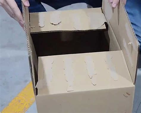 Hot Melt Carton Erector