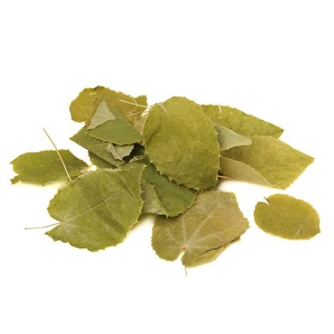 Horny Goat Weed