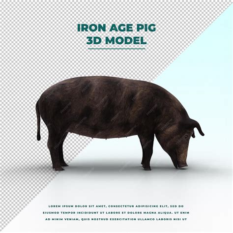 Premium Psd Iron Age Pig