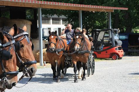 Reit Und Fahrclub Breitenbrunn Feiern