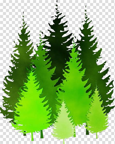 Cedar Trees Cartoon Vectors Download Free Vector Art Stock 3769548