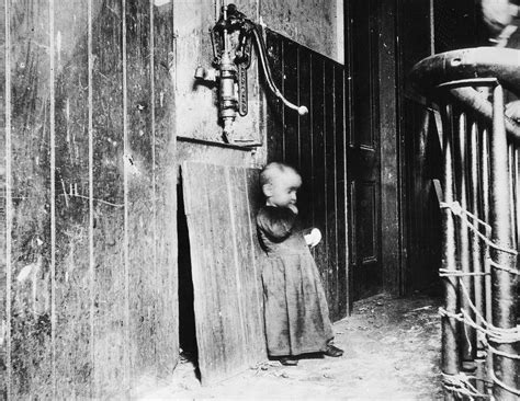 Jacob Riis Biography How The Other Half Lives Books Muckraker