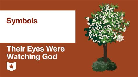 Their Eyes Were Watching God By Zora Neale Hurston Symbols Youtube