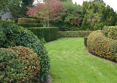 Informele Structuur Binnentuin Tuin Outdoor Living