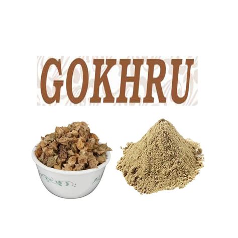 Gokharu Organic Gokhru Powder Tribulus Terrestris Gokshura Caltrops