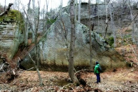 Shawnee Forest Illinois Cool And Unusual Things To See And Do