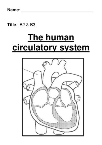 The Circulatory System Teaching Resources