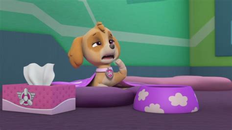 Paw Patrol Pups Save A Sniffle Pups And The Ghost Cabin