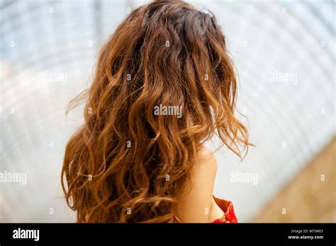 Female Long Brunette Hair Rear View Stock Photo Alamy