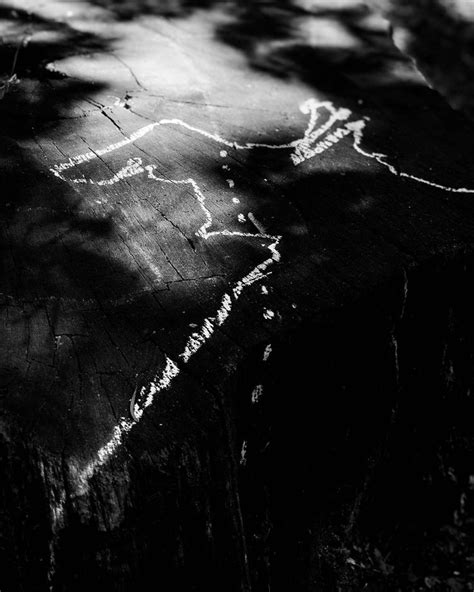 Bp—01 Nothing Goes As Planned But Everything Goes On