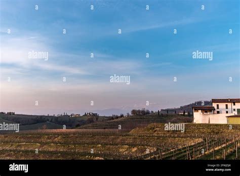 The Sun Goes Down In The Vineyards Of Friuli Venezia Giulia Stock Photo