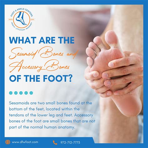 What Are Sesamoids and Accessory Bones of the Foot? - Foot & Ankle