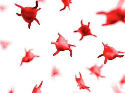 Platelets Art - Pixels