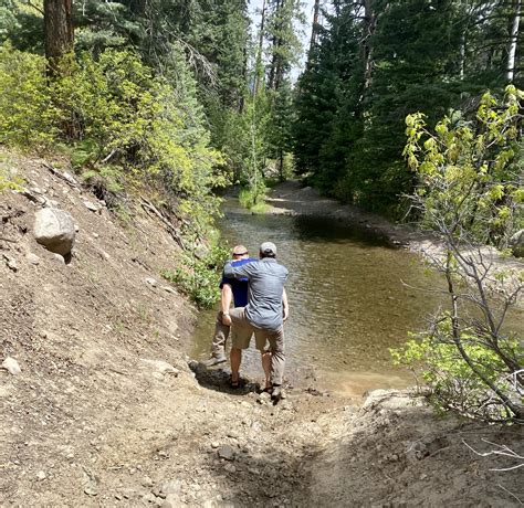 Turkey Creek Trail Hike - My Pagosa Springs