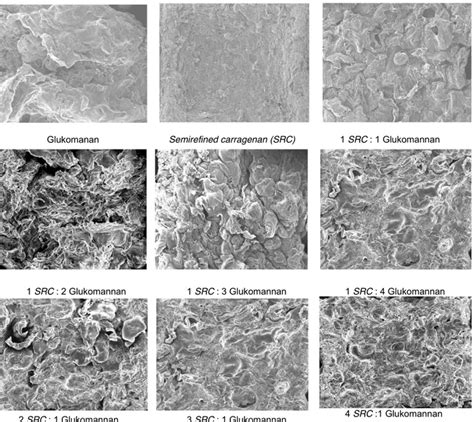 Karakteristik Dan Struktur Mikro Gel Campuran Semirefined Carrageenan