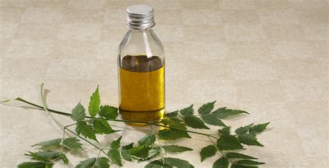 Neem Oil For Skin And Plants How To Use And Benefits Dr Axe