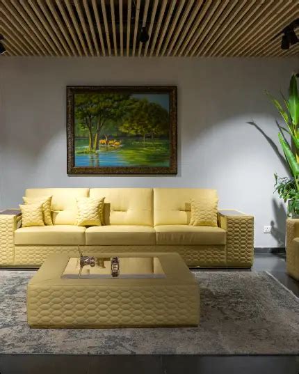 premium leather sofas