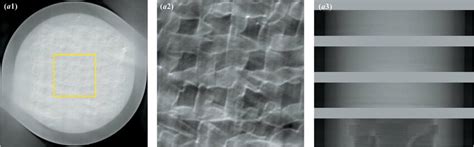 Hydrogel Scaffold Images With A Pitch Of 2 5 A1 Reconstructed Slice Download Scientific