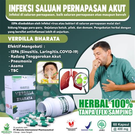 Jual Obat Paru Paru Obat TBC Menahun Obat Asma Sesak Nafas Verdilla