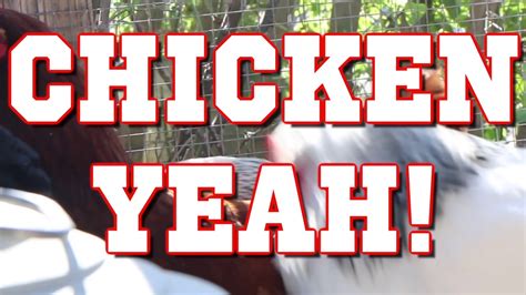 Chicken Yeah Parry Gripp Youtube