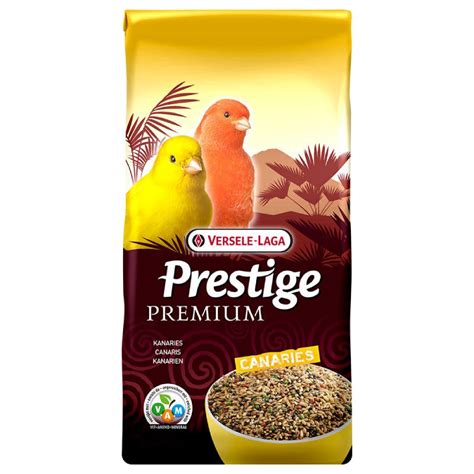 what happens if canary not eating without vet 7