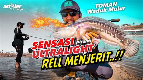 Casting Ikan Toman Waduk Mulur Sukoharjo YouTube