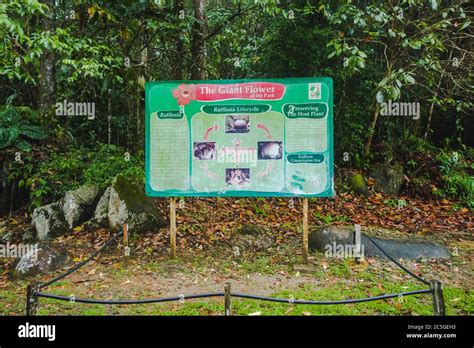 The Signboard Of Taman Negara Gunung Gading Or Gunung Gading National