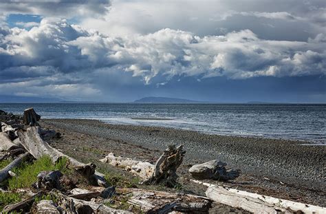 columbia beach photograph  randy hall fine art america