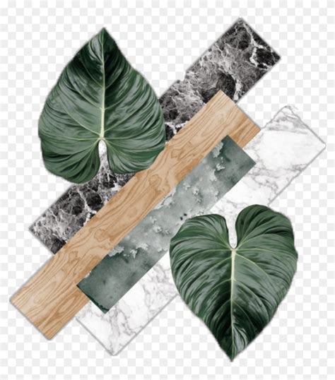 Find hd #leaves #brown #white #green #gray #design #background - White ...