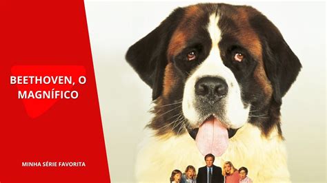 Elenco De Beethoven O Magnífico - Beethoven, O Magnífico tem na Netflix? Onde assistir online?