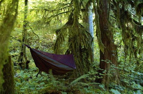 7 Reasons to Switch from Tent to Hammock Camping - A Girl's Prep Guide