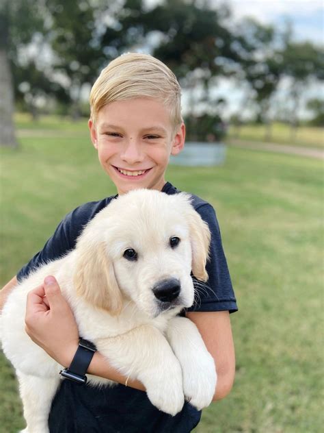 Puppy Info | Cottage Farmhouse Goldens