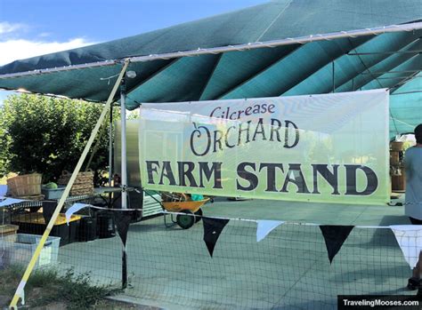 A fun filled day at Gilcrease Orchard | Traveling Mooses