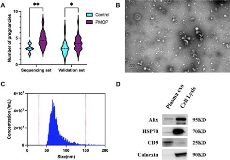 Identification Of Plasma Exosomes By Sec A The Comparison Of The