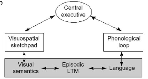A Baddeley And Hitchs 1974 Original Model Of Working Memory Wm