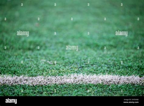 Football field with white line Stock Photo - Alamy