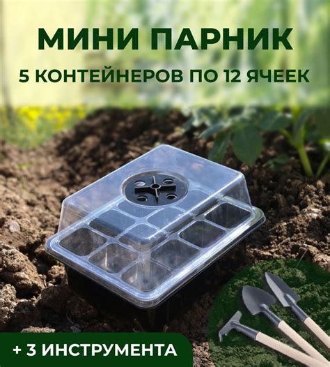 DEIMAN Кассета для рассады купить на OZON по низкой цене (1867323261)