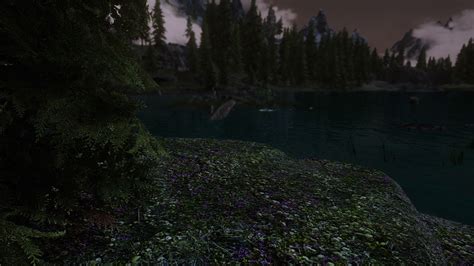 Ray S 4k Field Grass 02 At Skyrim Nexus Mods And Community