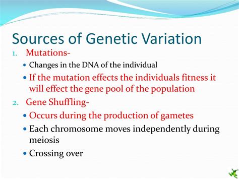 Ppt Population Genetics Powerpoint Presentation Free Download Id