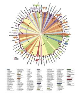 Global Consortium Creates Large Scale Cross EurekAlert