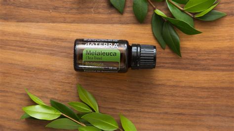 Product Blog Arbol de Té Melaleuca Usos y beneficios Aceites