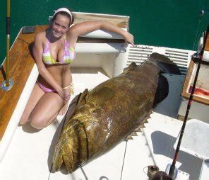 Fish And Tits Porn Pic