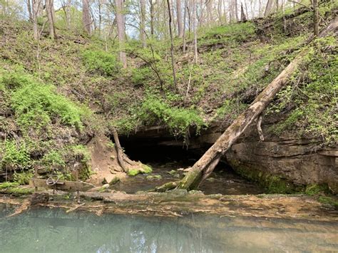 117 Cave Creek Dam Royalty-Free Photos and Stock Images | Shutterstock