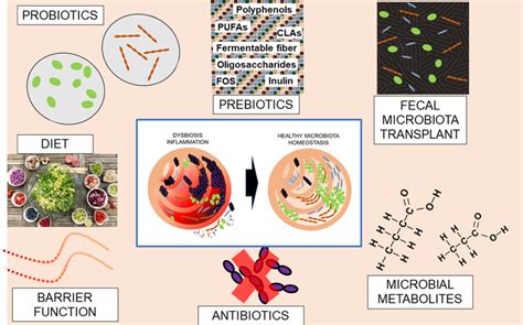 The Microbiome And Hla B Associated Acute Anterior Uveitis