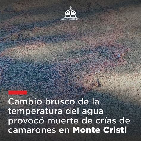 Ministerio De Medio Ambiente Rd On Twitter Se Determin Que La Muerte