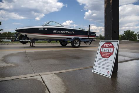 Invasive, easy-to-spread plant found in Boulder Reservoir