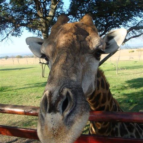 Туристический блог для личных путешествий