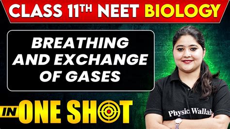 Breathing Exchange Of Gases In One Shot Class Th Neet Biology